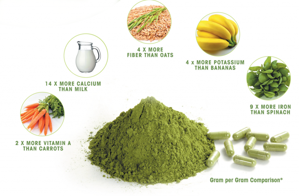 Moringa powder and capsules compared against milk, oats, bananas, spinach and carrots