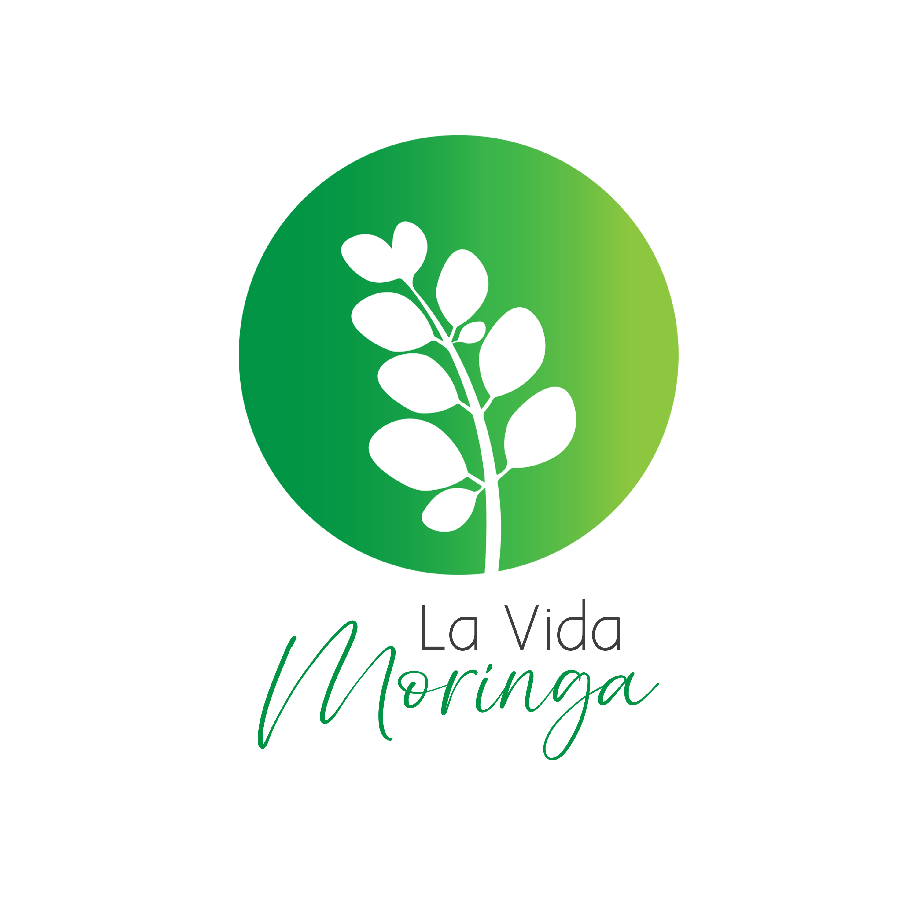 La Vida Moringa logo